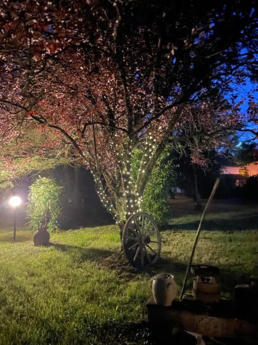 La Casa Del Papa - Maison Spacieuse Avec Jardin * Dole