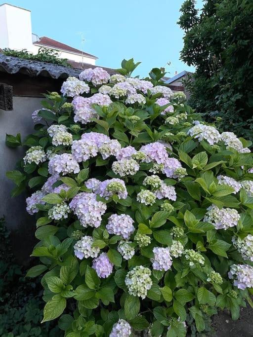 La Casa Del Papa - Maison Spacieuse Avec Jardin Hébergement de vacances